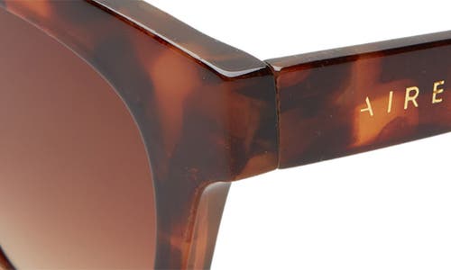 Aire 50mm Dorado D-frame Sunglasses In Brown