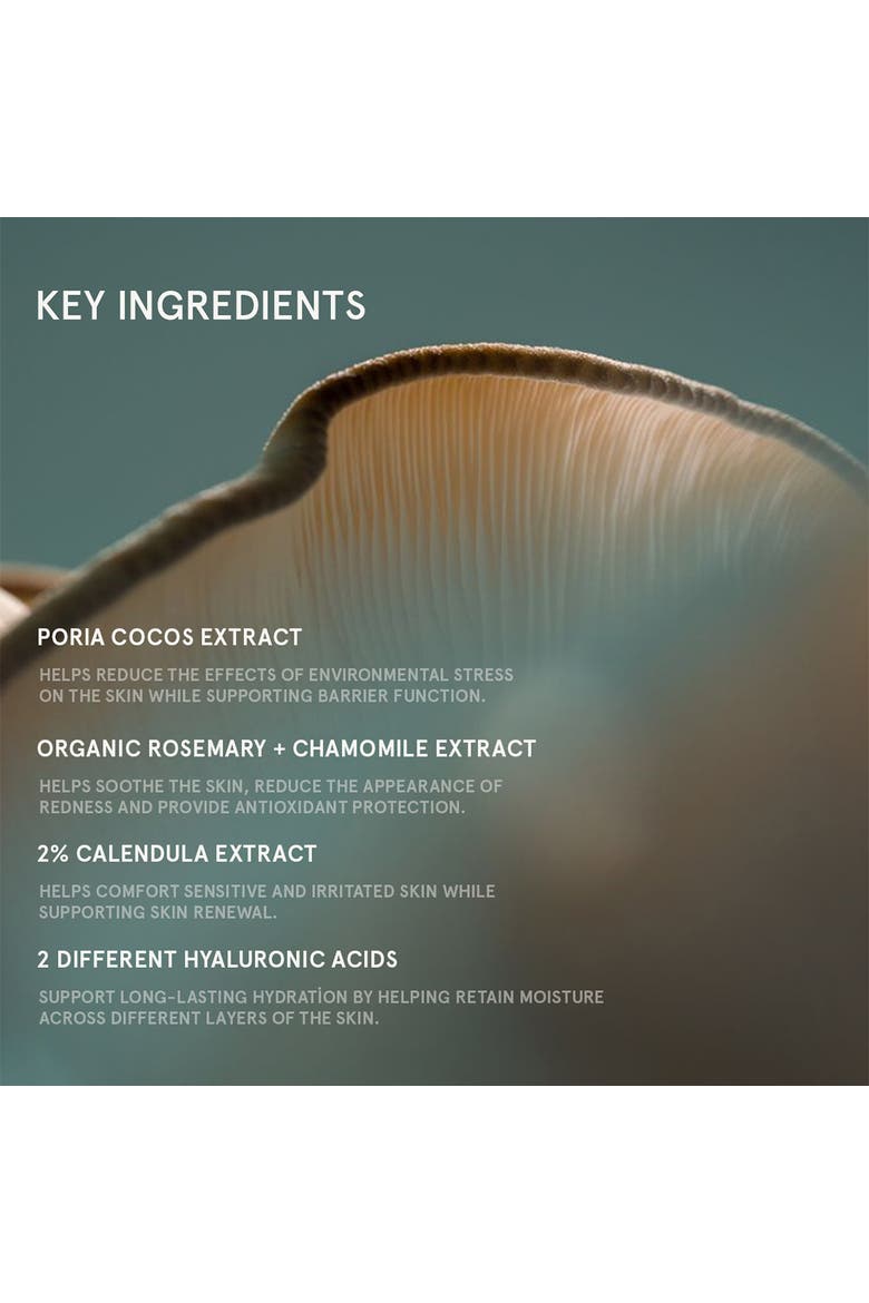 Superfood Repairing Plumping Cream, Alternate, color, No Color