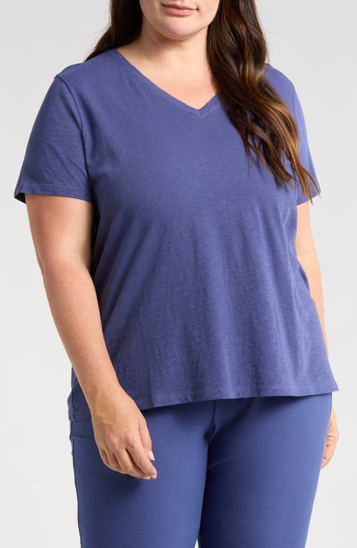 Eileen Fisher Easy V-neck Organic Cotton T-shirt In Bluette