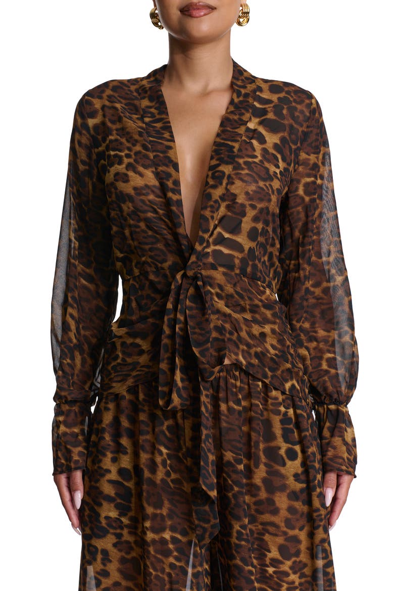 Plunge Tie Front Chiffon Top, Main, color, LEOPARD