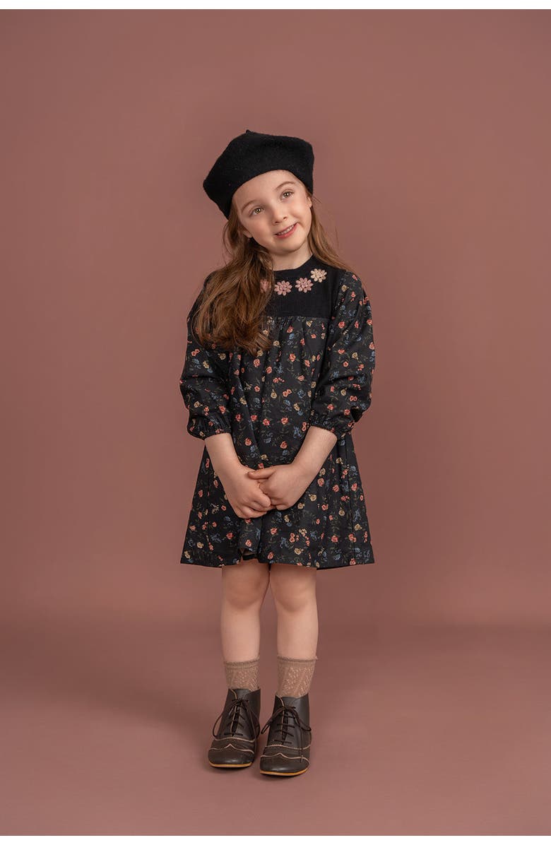 Clô Long Sleeve Flower Print Embroidered Dress, Alternate, color, Black