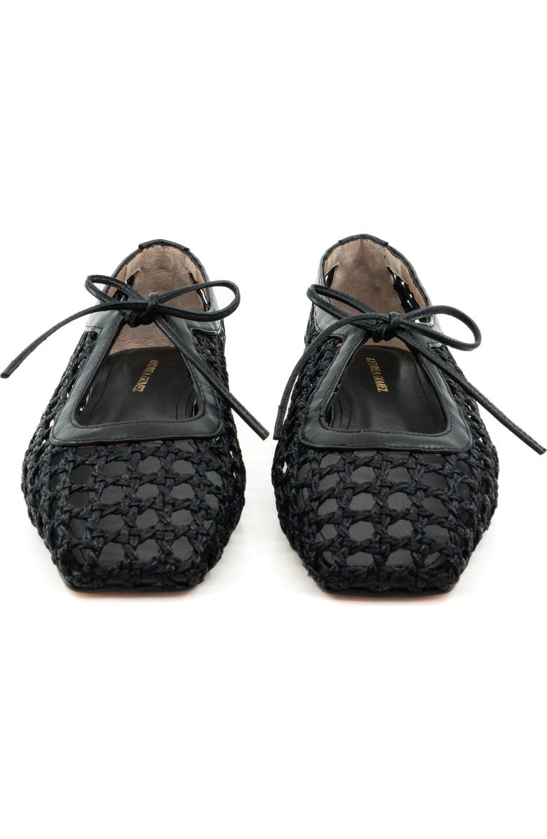 Andrea Gomez Amelia Raffia Ballet Flat, Alternate, color, Black