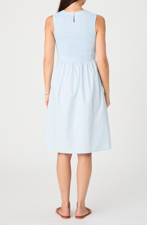 French Connection Smocked Sleeveless A-line Dress