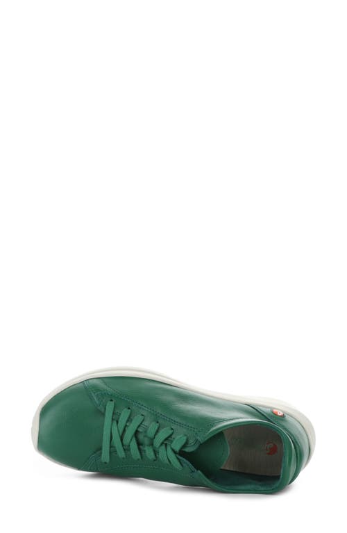 Softinos By Fly London Gaji Sneaker In Amazon