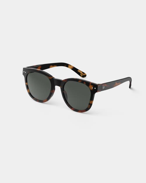 Izipizi Slmsnc02 #n C02 Wayfarer Sunglasses In Brown