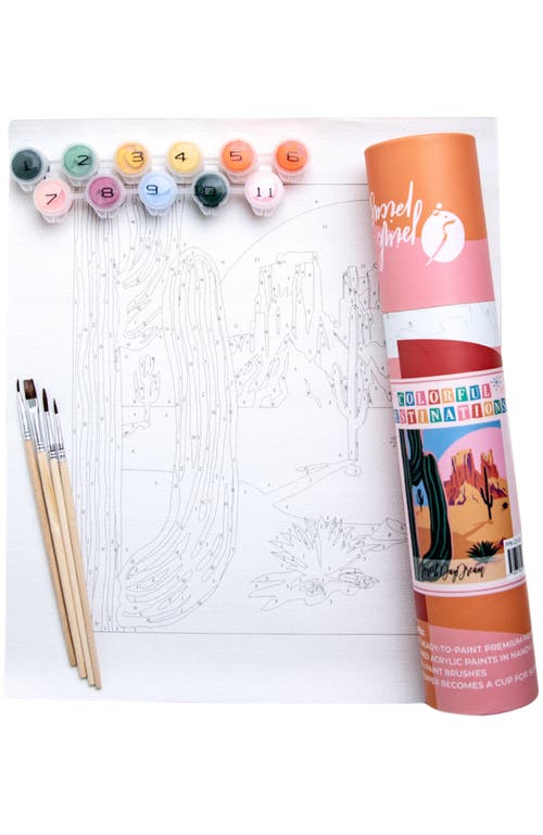 Pink Picasso Kits Desert Daydream Paint-by-Numbers Kit in Orange /Green  product