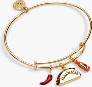 Alex and Ani Taco Multi Charm Ewb