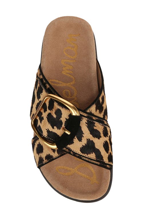Shop Sam Edelman Darla Slide Sandal In Cyprus Tan Multi Calf Hair