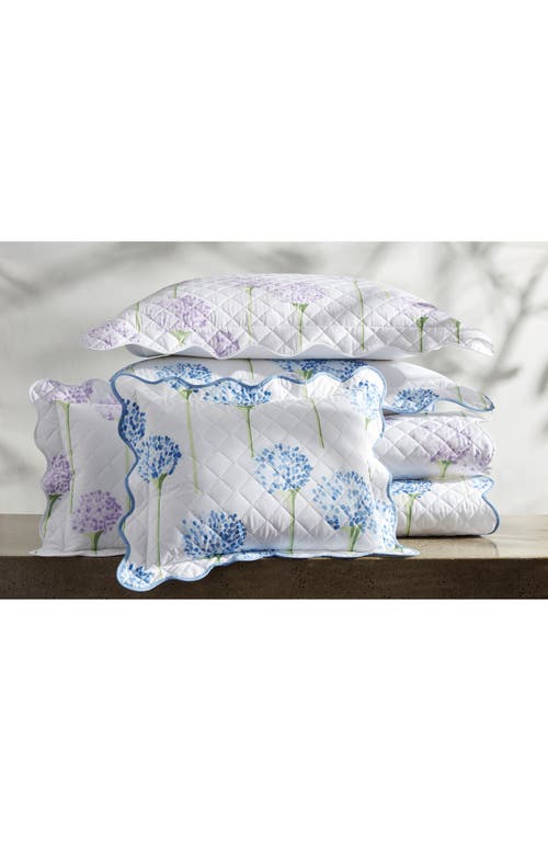 Matouk Floral Quilted Cotton Percale Sham In Peony