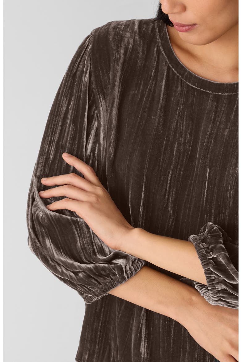 Bubble Sleeve Velvet Top, Alternate, color, RYE