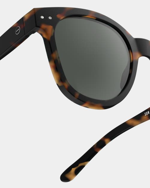 Izipizi Slmsnc02 #n C02 Wayfarer Sunglasses In Brown
