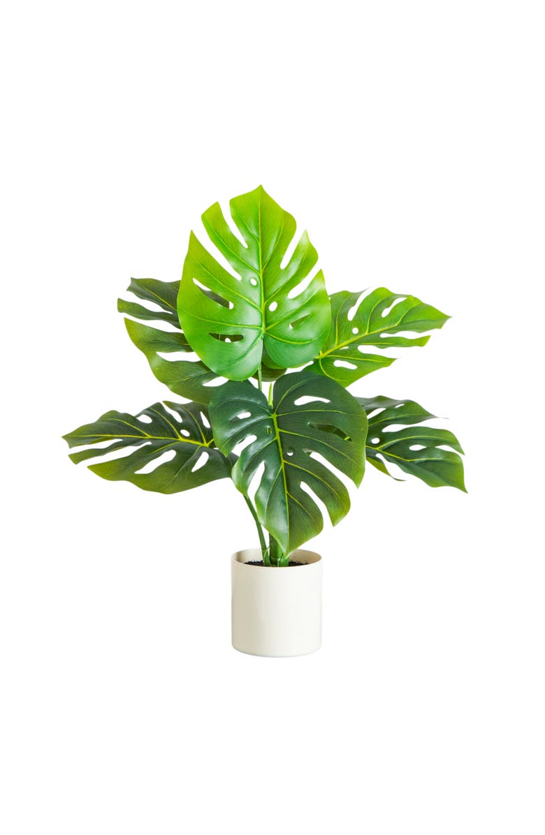 NEARLY NATURAL 20-in Artificial Swiss Monstera Plant, Main, color, Green