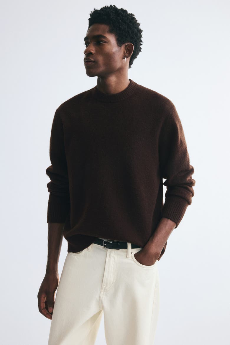 Regular-fit Brushed Sweater, Alternate, color, Dark brown