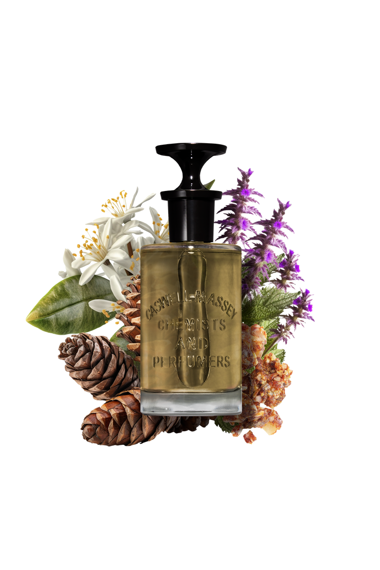 OAIRE Eau de Parfum, Alternate, color, 7.5mL