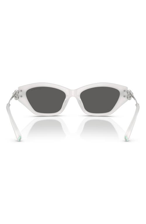 Tiffany & Co . 53mm Cat Eye Sunglasses In Multi