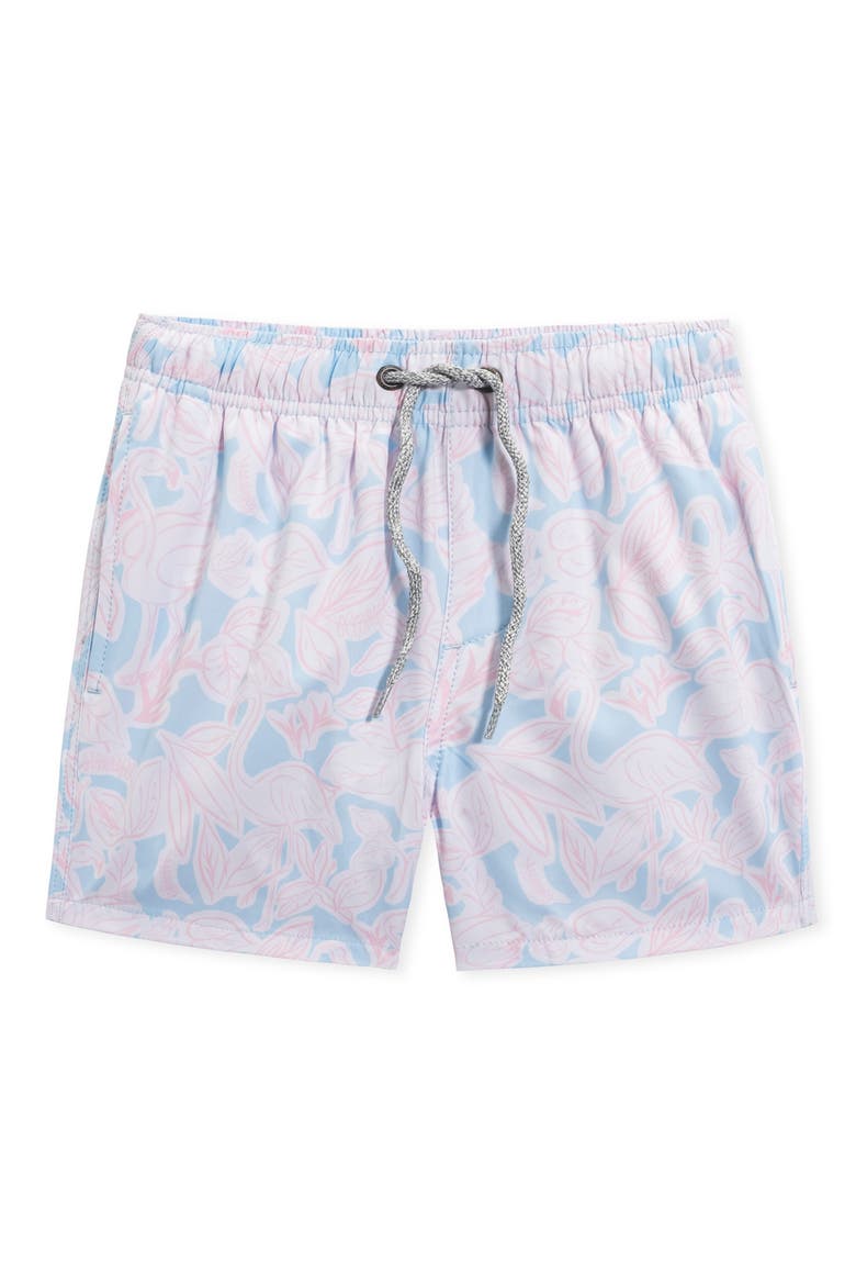 Kids' Flamingo Print Swim Trunks, Main, color, LIGHT BLUE