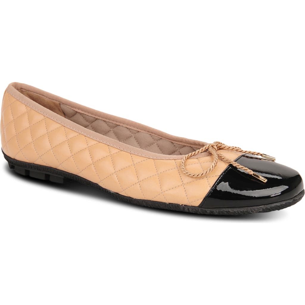 Paul Mayer Cozy Quilted Cap Toe Ballet Flat In Multi
