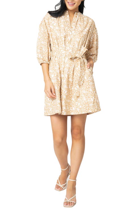 Ambition Belted Cotton Shirtdress