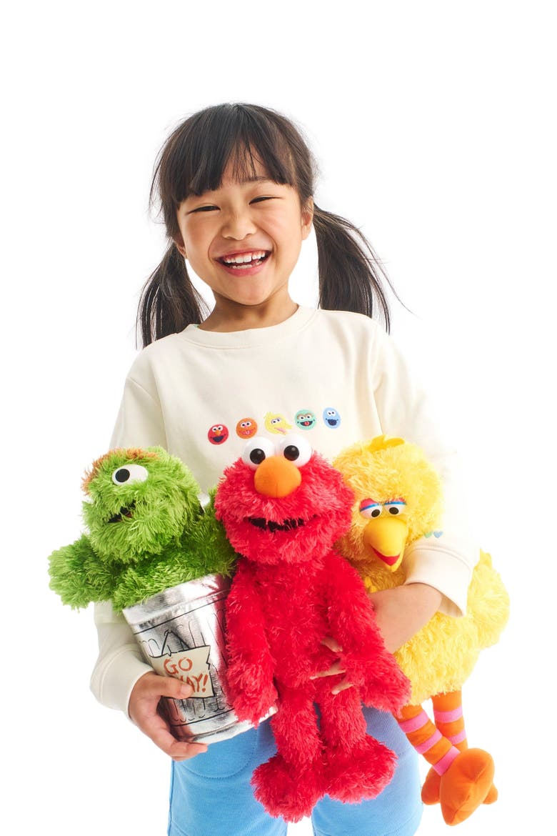 Kids Sesame Street Friends Embroidered Sweatshirt, Alternate, color, Oat