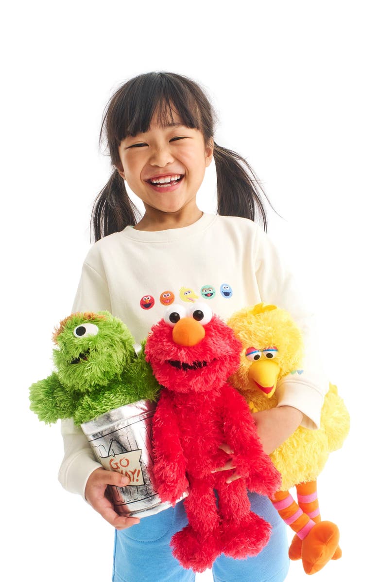Primary Kids Sesame Street Friends Embroidered Sweatshirt, Alternate, color, Oat