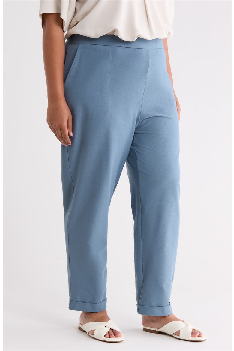 Cuffed Tapered Ankle Pants, Alternate, color, COLD SPRING