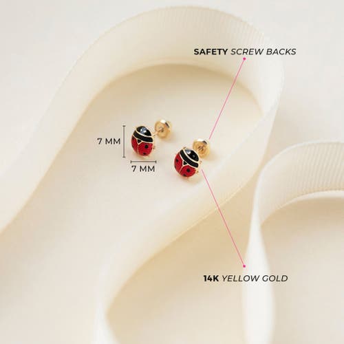 Shop In Season Jewelry 14k Garden Ladybug Earrings In Red