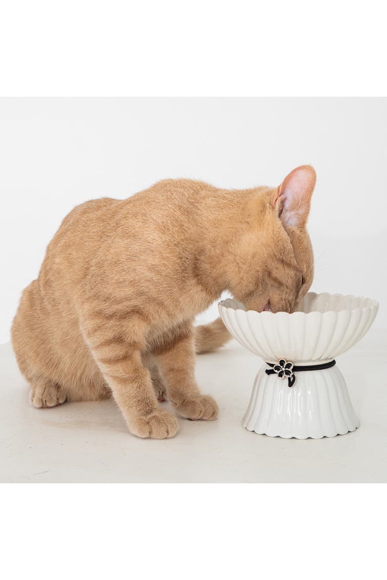 Elevated Ceramic Bowl For Cats 8.45oz Capacity, Alternate, color, White