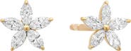 Sara Weinstock 18k Gold Diamond Star Stud Earrings