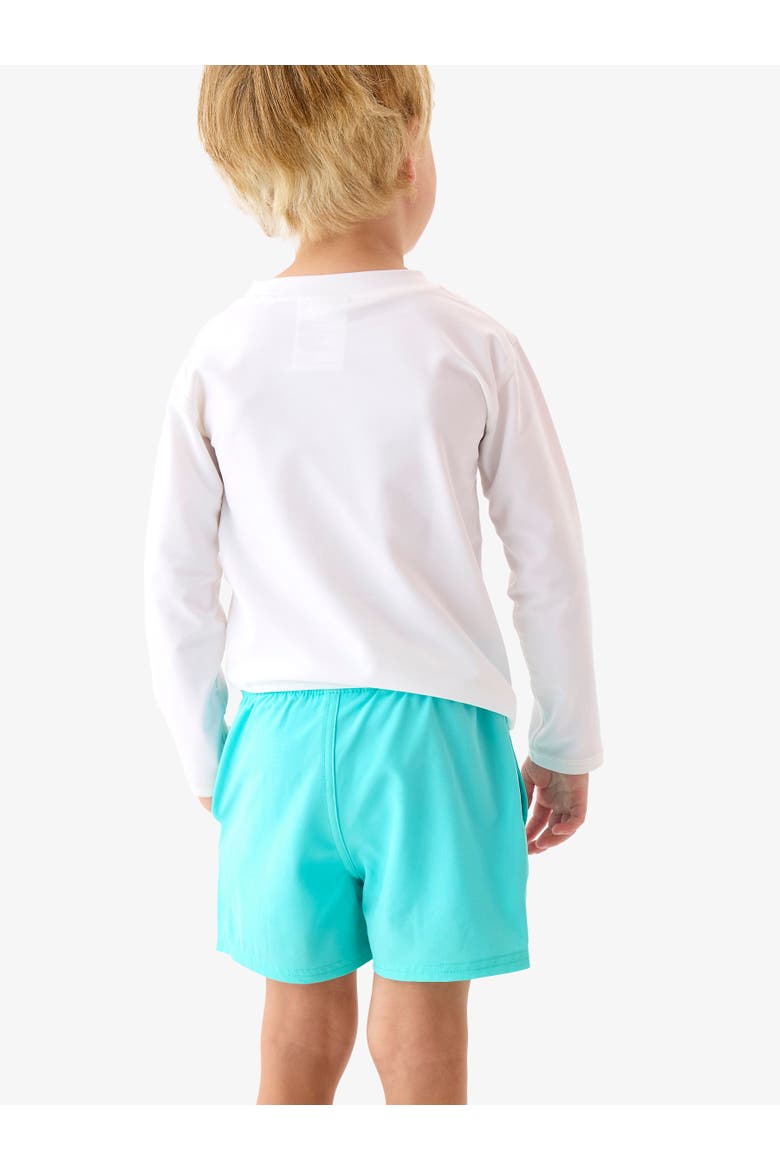 Color Changing Performance Hybrid Swim Trunks, Alternate, color, Bright Aqua Fish Squad