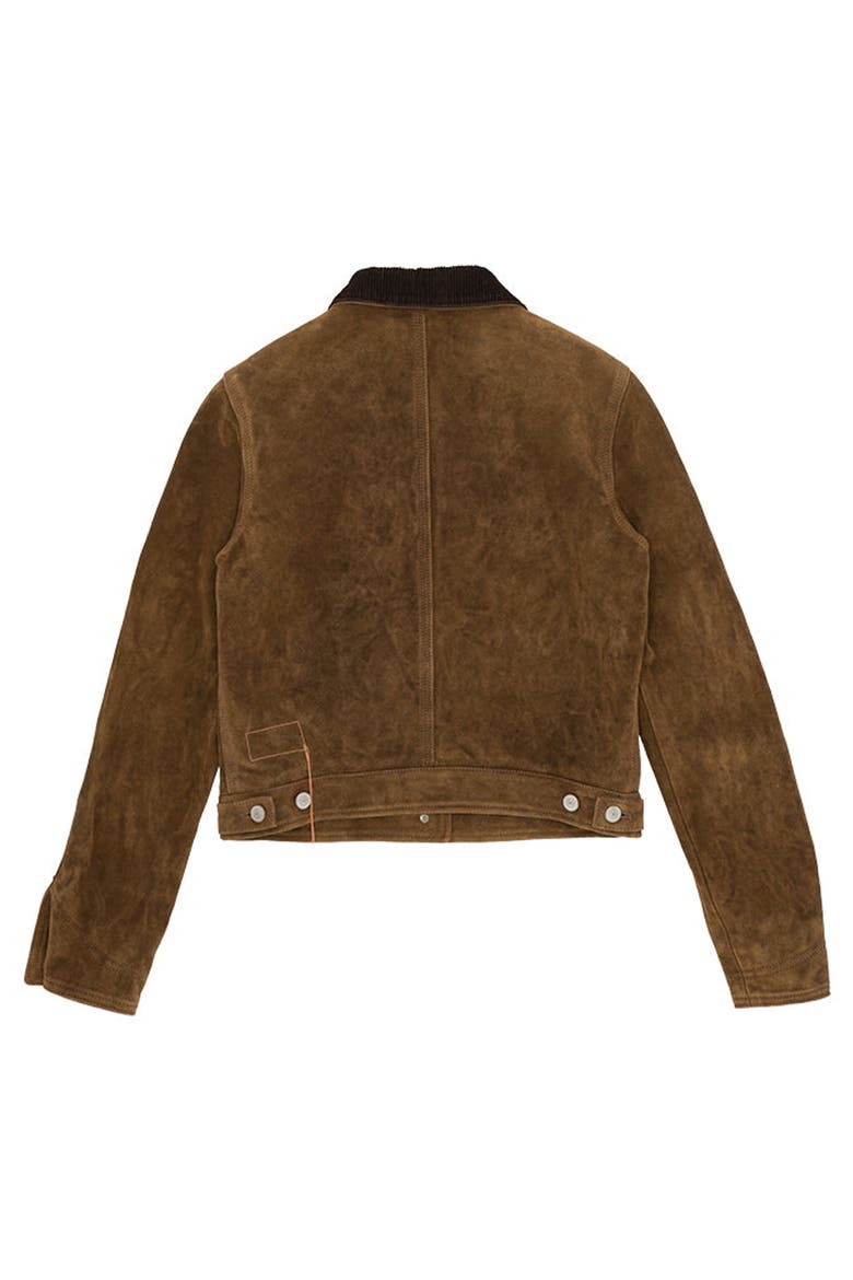 Fedra Suede Leather Jacket, Alternate, color, BROWN