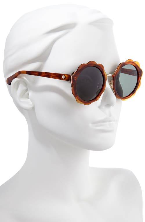 Kate Spade Karries 52mm Round Sunglasses - Brown In Brown