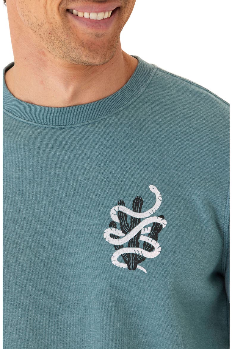 Desert Snake Mineral Wash Crewneck Sweatshirt, Alternate, color, WATRCRS