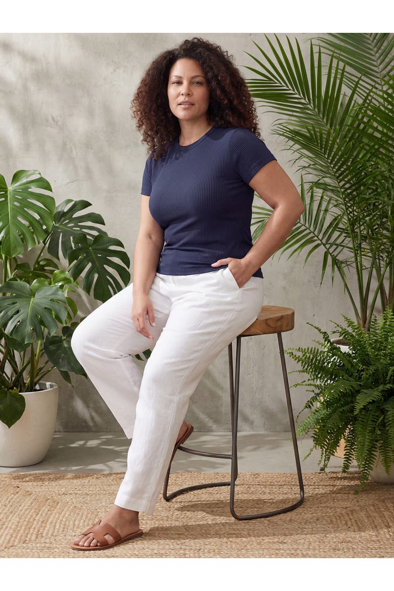 Curvy Basic Ribbed Knit Round Neck Short Sleeve Top, Alternate, color, White