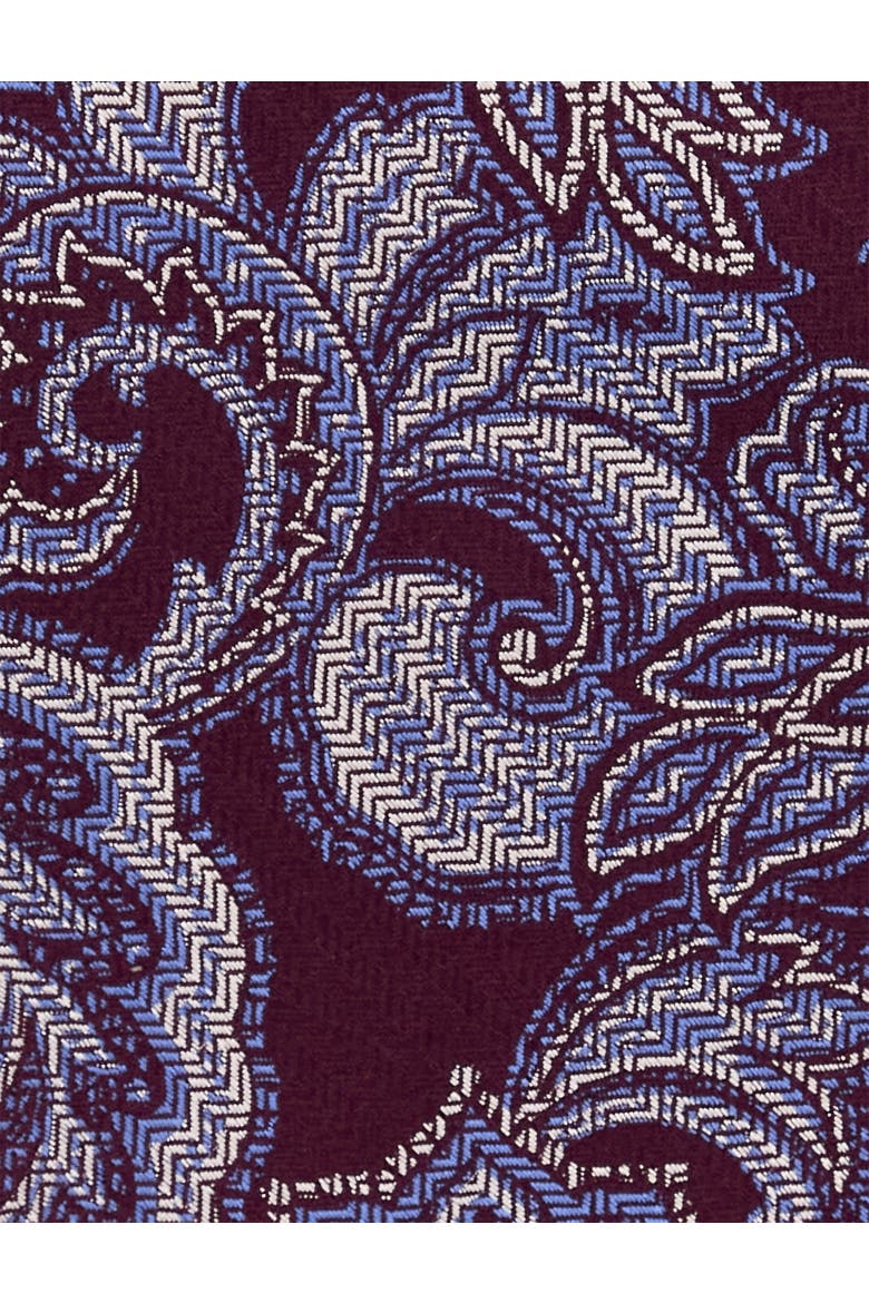 Big & Tall Petunia Paisley Tie, Alternate, color, BURGUNDY
