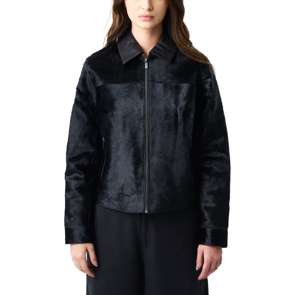 Velez Antares Jacket In Black