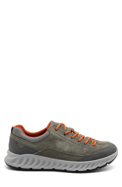 Ara Prague Sneaker