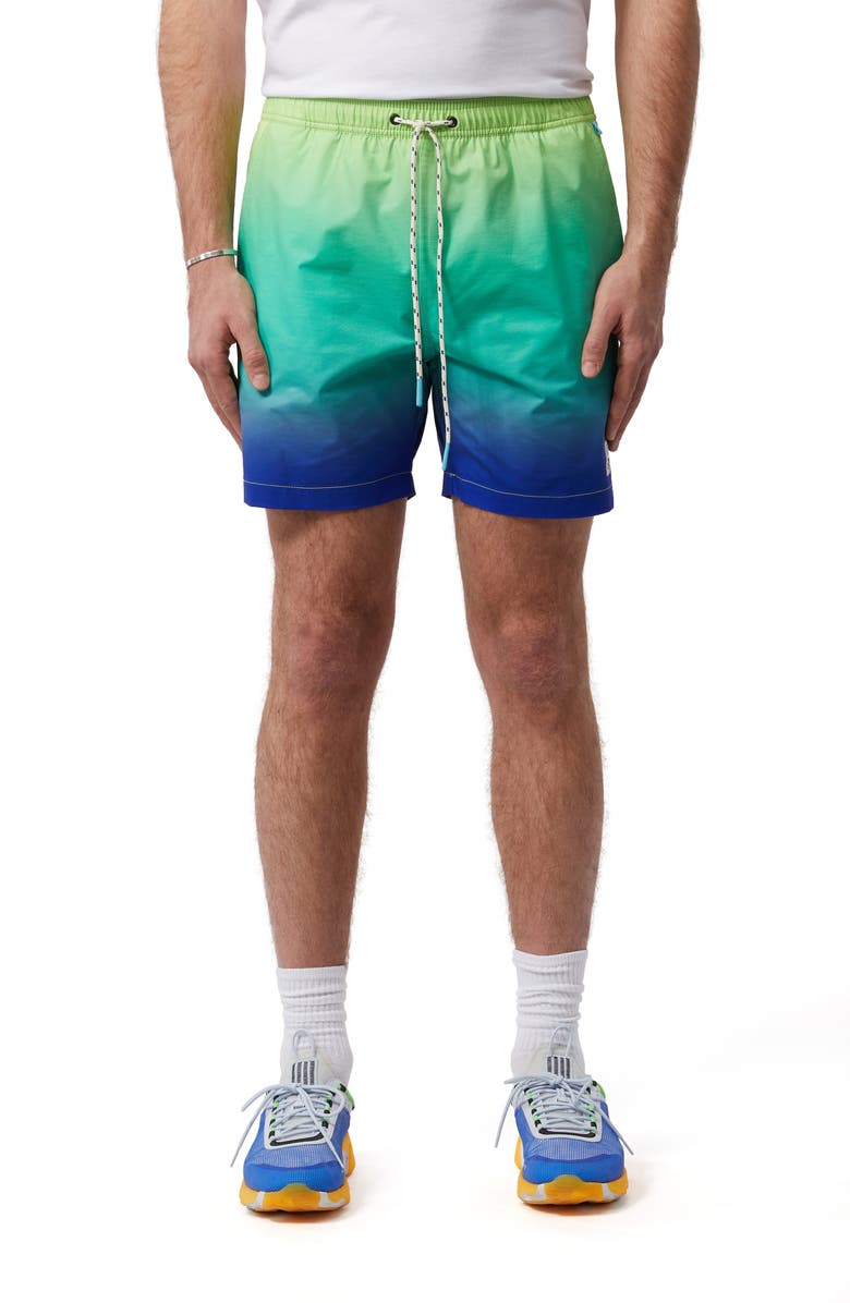 Psycho Bunny Rickman Swim Trunks, Main, color,