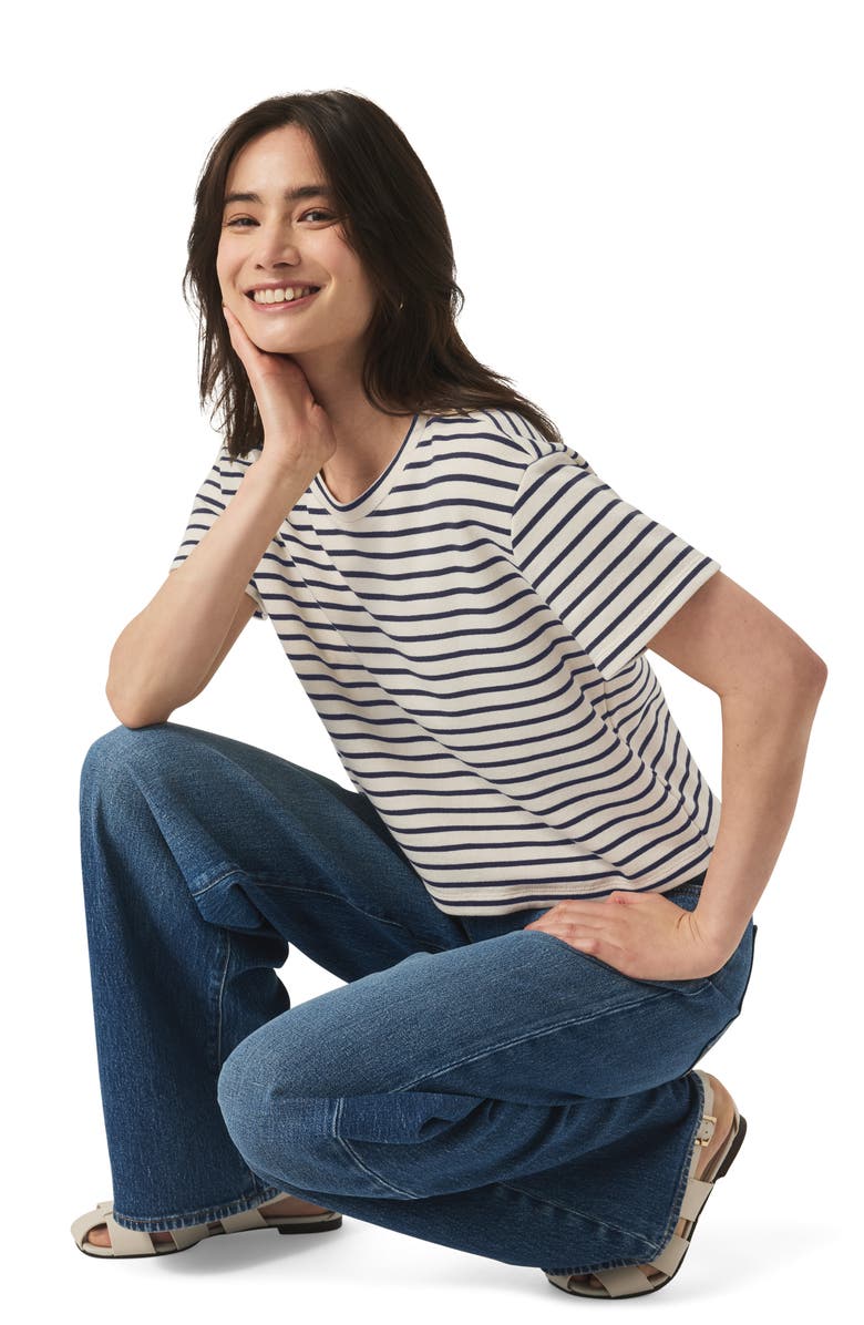 Splendid Whit Stripe Boxy Crop Tee, Alternate, color,