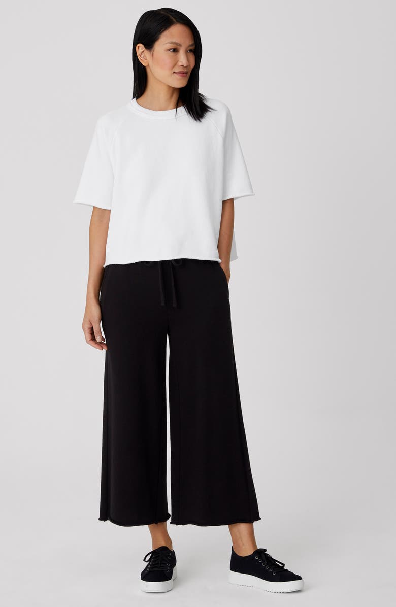 Eileen Fisher Boxy Crewneck T-Shirt, Alternate, color, 