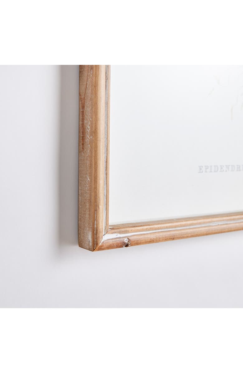 Napa Home & Garden Orchid Assortment Study Set Framed Wall Art of 4, Alternate, color, 