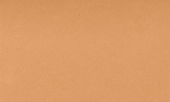 selected 4W2 TOASTY TOFFEE