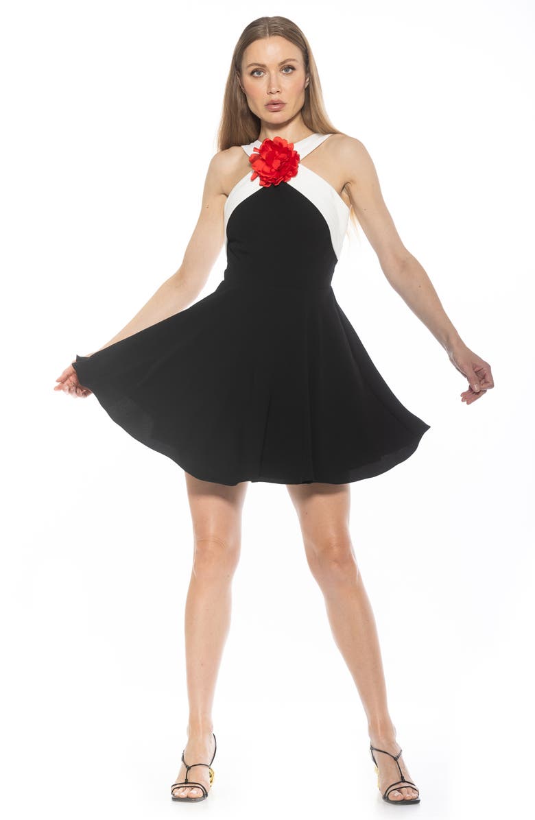 Alexia Admor Alexi Fit & Flare Dress, Alternate, color, Black