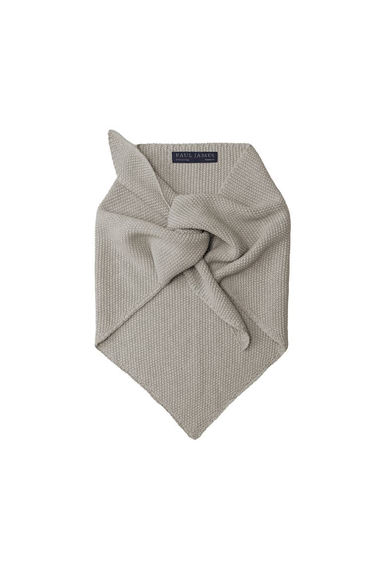 Cotton Textured Neckerchief, Alternate, color, Oatmeal
