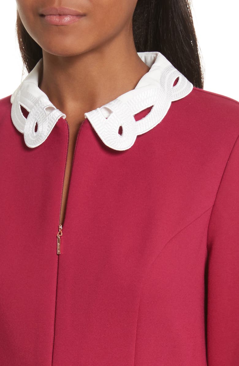 Ted Baker London Shealah Embroidered Trim A-Line Dress, Alternate, color,