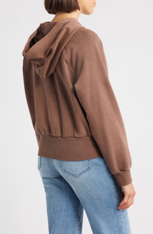 City Blues Crop Cotton Hoodie In Brown