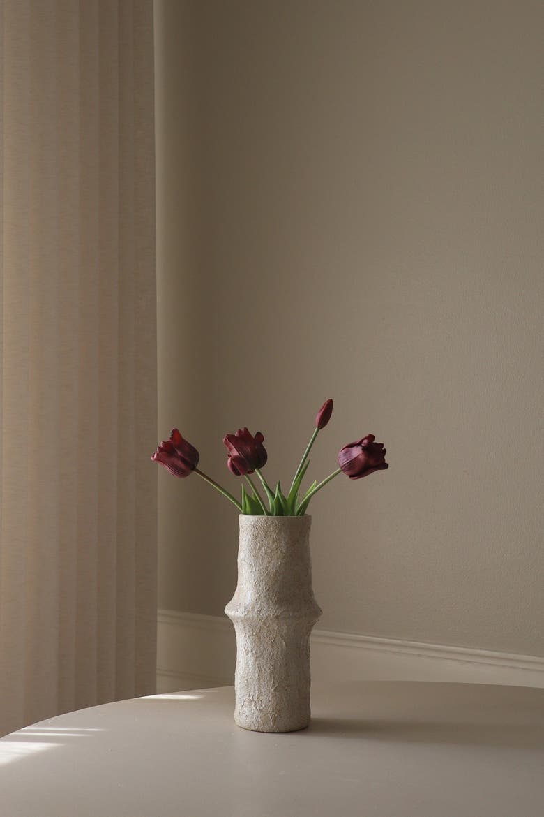 Purple Triumph Tulips, Alternate, color, Purple
