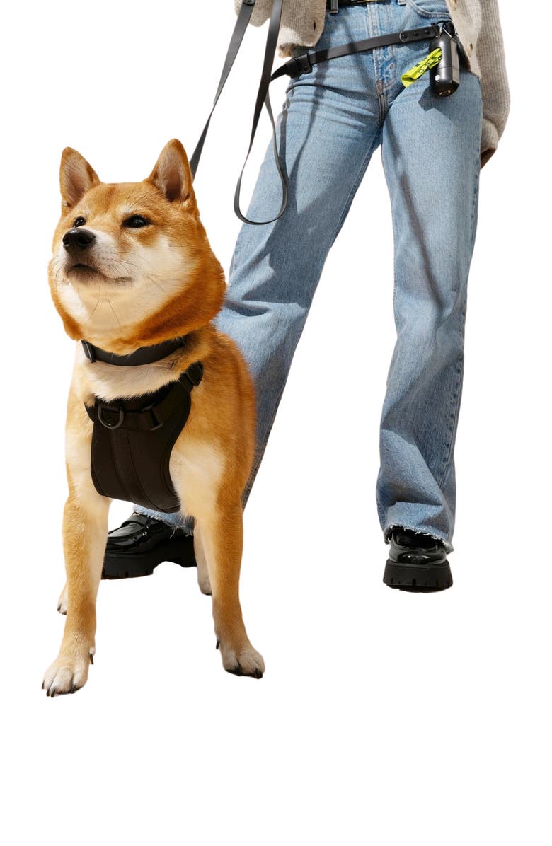 The Licker Store Luna 8FT Adjustable 6-in-1 Waterproof Hands-Free Leash and Collar with LED Flashlight, Bag Dispenser, and Poop Bag Holder, Alternate, color, Black