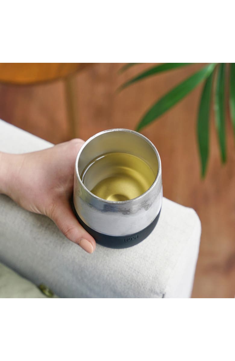 HOST Stainless Steel Wine FREEZE Pro Cooling Cup, Alternate, color, Silver