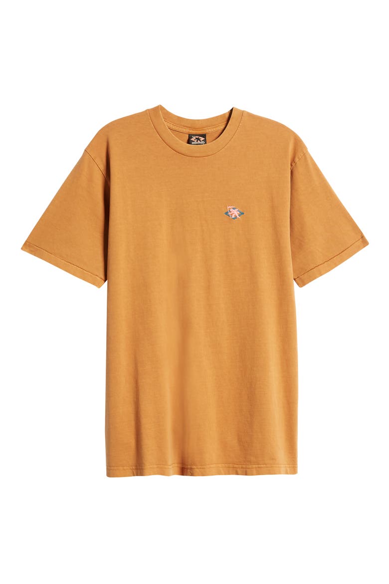 Pangea Embroidered T-Shirt, Alternate, color, BROWN SUGA
