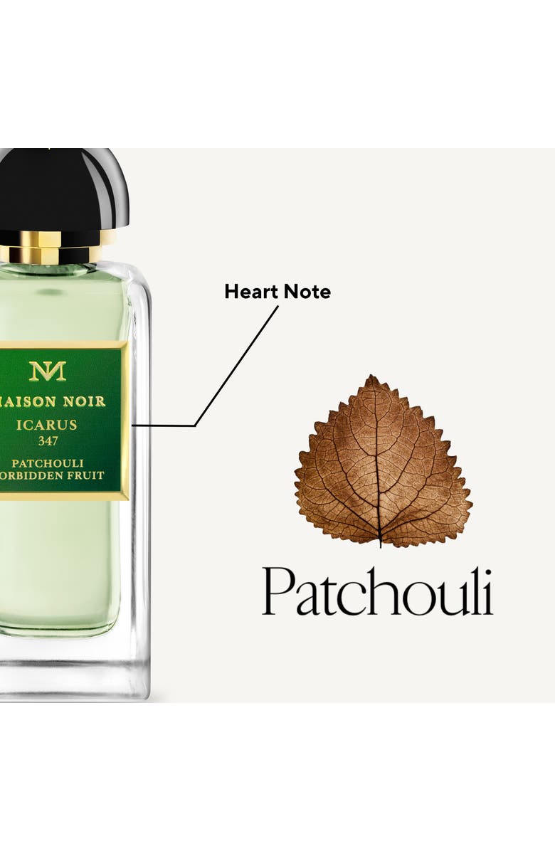 MAISON NOIR Icarus 347, Alternate, color, NO COLOR